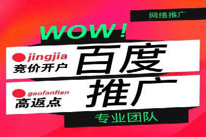 百度推广攻略：实操案例解读SEO优化之道